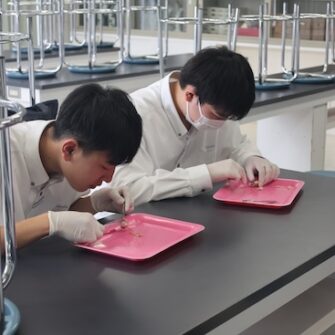 【特色教育】豚の眼球を解剖！ 実物に触れて深める生命科学の学び